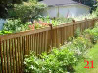 STP60208 photo21_small.jpg