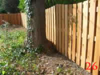 STP60321 photo26_small.jpg