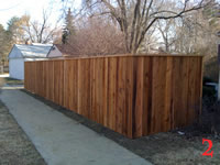 STP61179 photo2_small.jpg