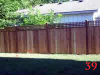 STP60630 photo39_small.jpg