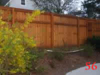 STP61061 photo56_small.jpg