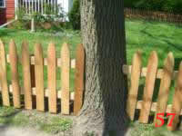 STP61066 photo57_small.jpg