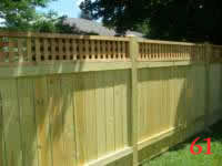 STP61117 photo61_small.jpg