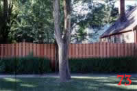 wood_fence01 photo73_small.jpg